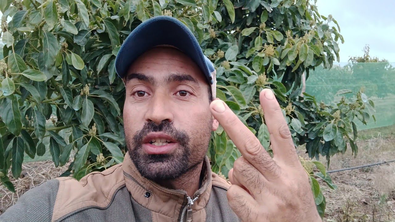 يوميات الفلاح فيديو توضيحي بخصوص الغبار