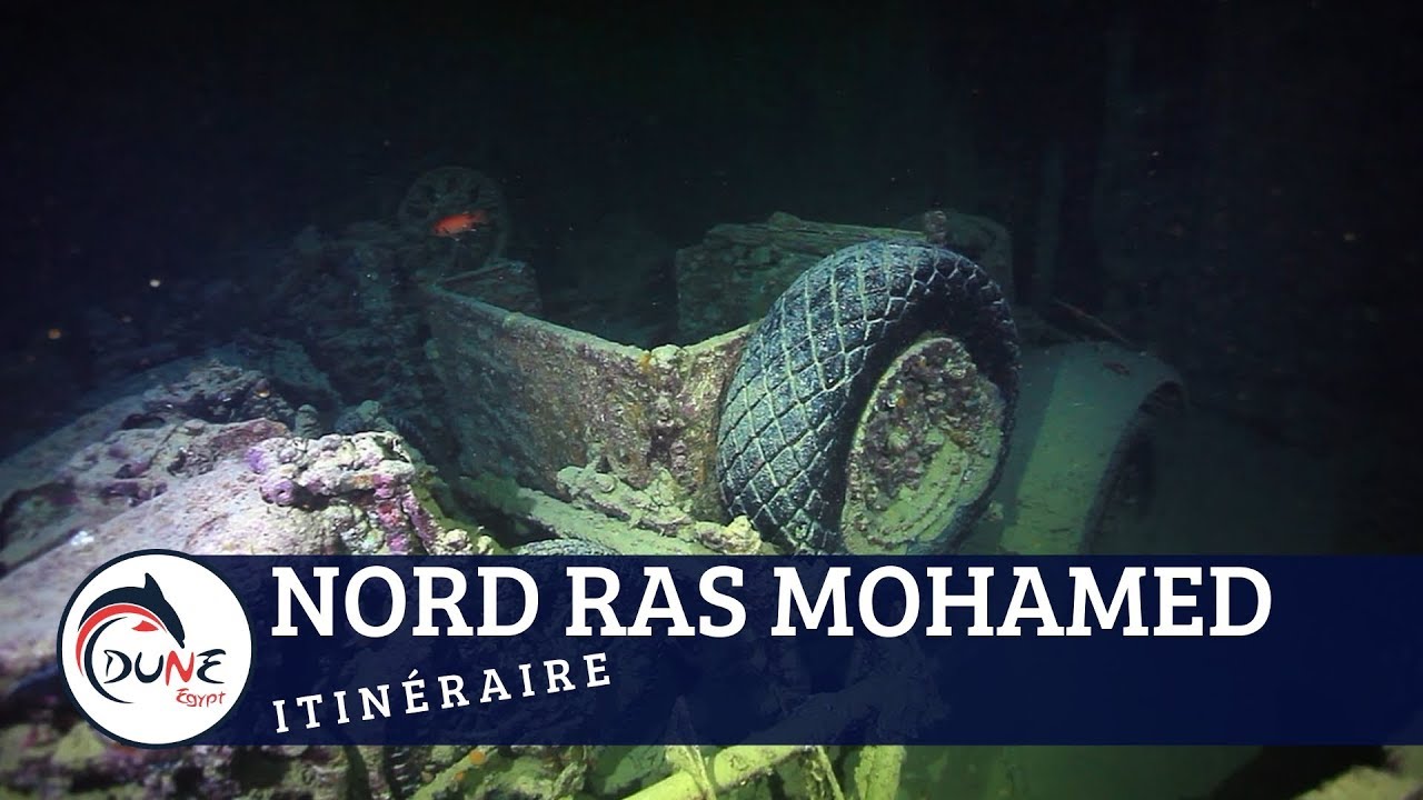 Croisière plongée Egypte – Itinéraire Nord Ras Mohamed