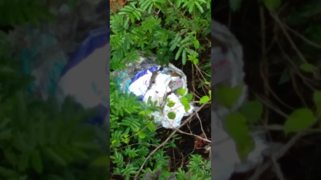 Waste dumping on road side (Poonjar)