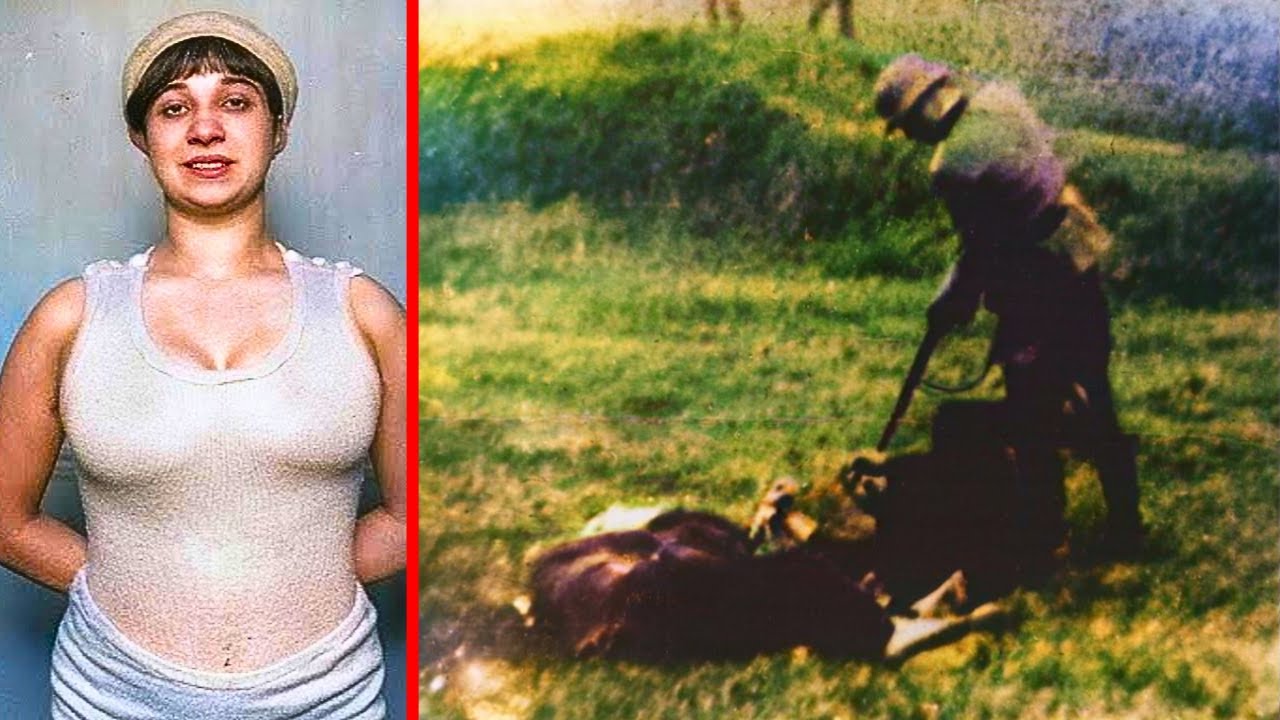 BRUTALNA EGZ3KUCJA Współpracownika N4ZISTÓW przez Francuski Ruch Oporu