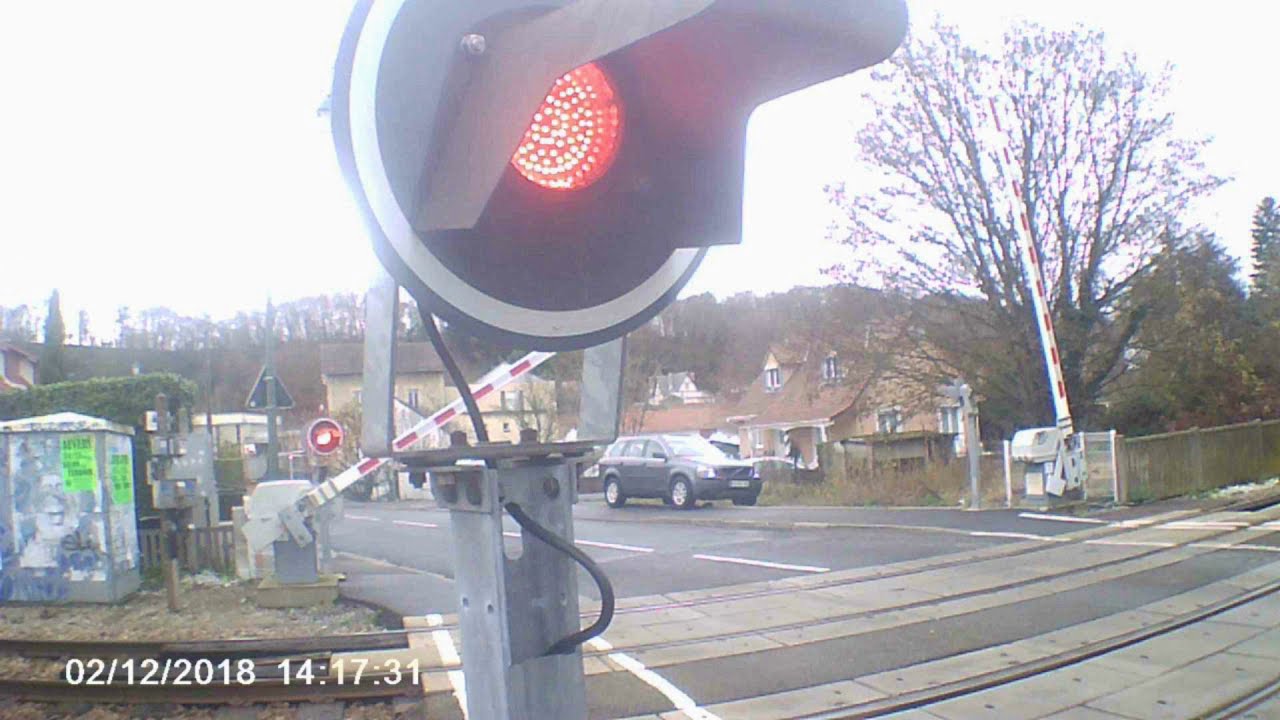 Z50 au PN 19 + SURPRISE