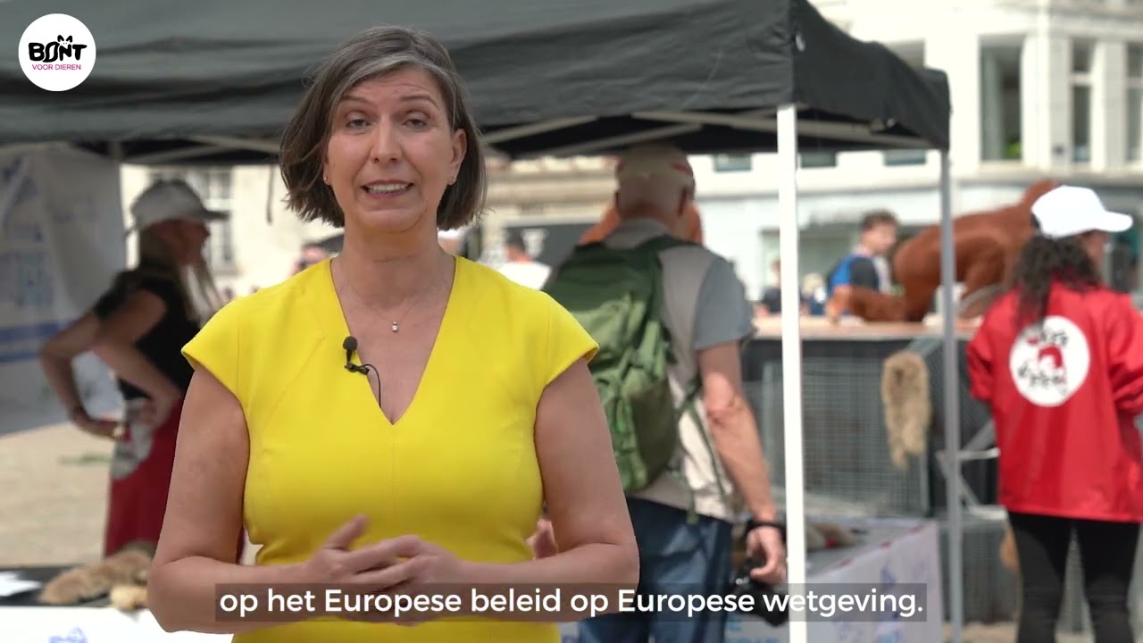 BvD Bontvrij Europa
