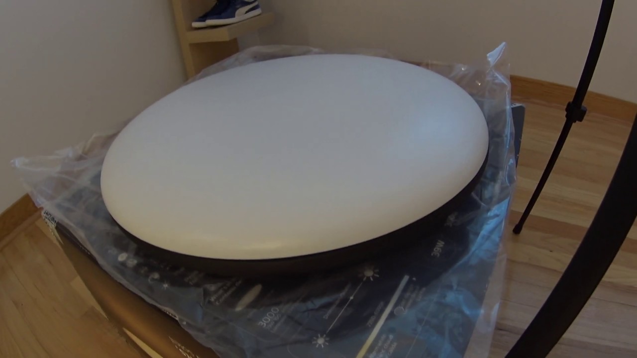 Philips Hue Cher Ceiling Light