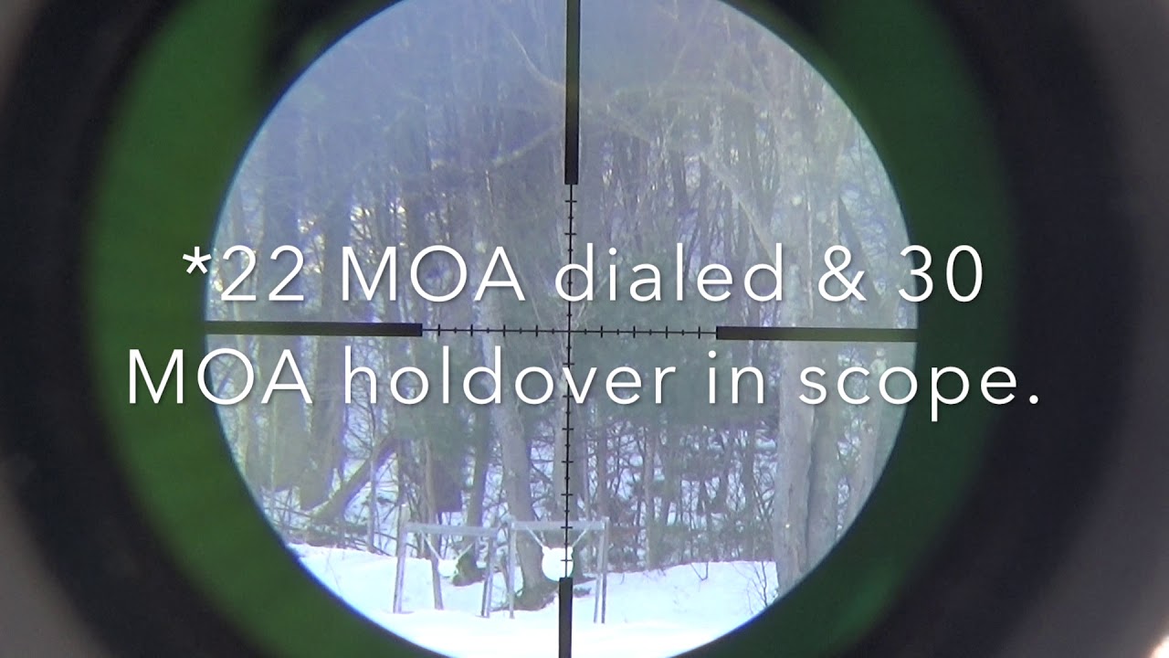 Ruger 10/22 shooting steel at 300 yards!