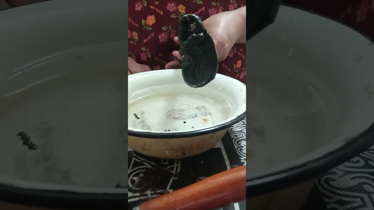 Обраточка 3 Часть, заключительная 