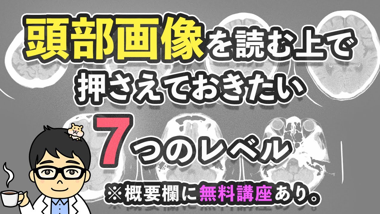 頭部画像CT、MRI画像を見る上で押さえておきたい7つのレベル解説動画　#概要欄に無料講座あり。