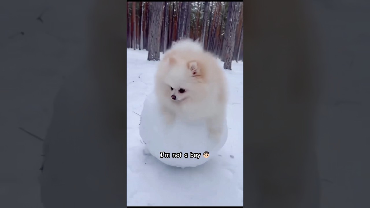 I’m a coconut 🥥 