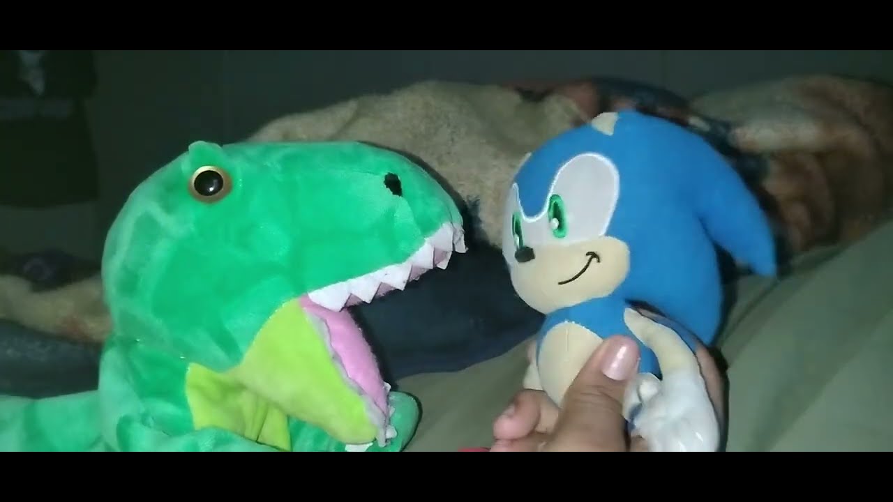 Sonics pet 