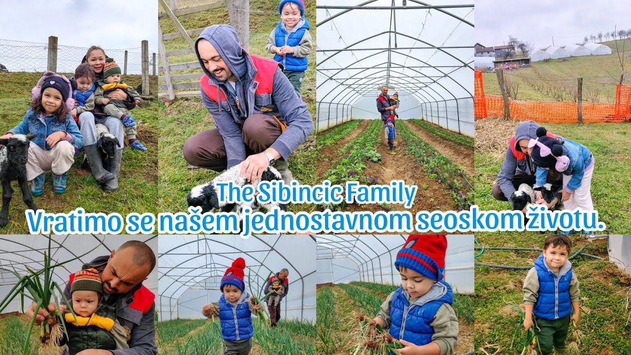 VRATIMO SE NAŠEM JEDNOSTAVNOM SEOSKOM ŽIVOTU | THE SIBINČIĆ FAMILY