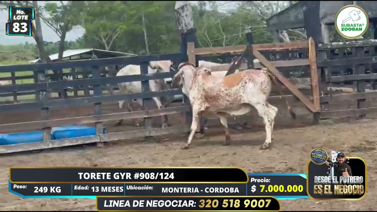 POTRERO LOTE 83