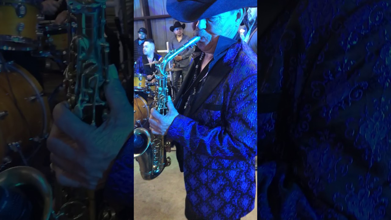 Los jilgueros del arroyo en vivo