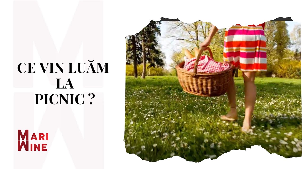 👩🏻‍🏫 Weekly Wiki Wine: Ce vin luăm la picnic?