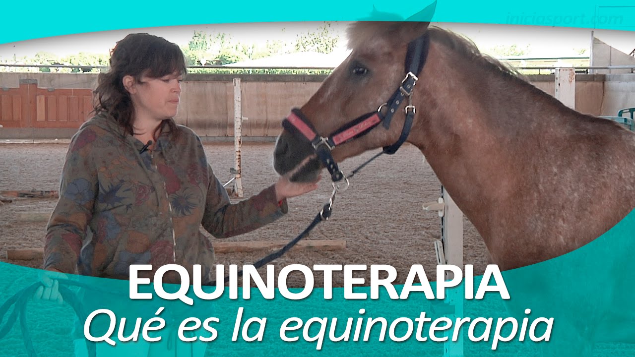 EQUINOTERAPIA 1 | Qué es la equinoterapia
