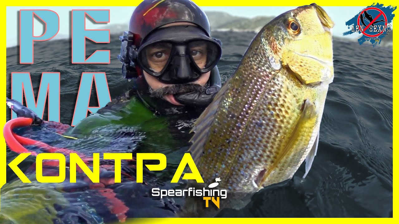 Ψαροντούφεκο Κόντρα στο Ρέμα • Χωρίς Ανάσα • SpearfishingTV #live_dream_dive #spearfishingworldgroup