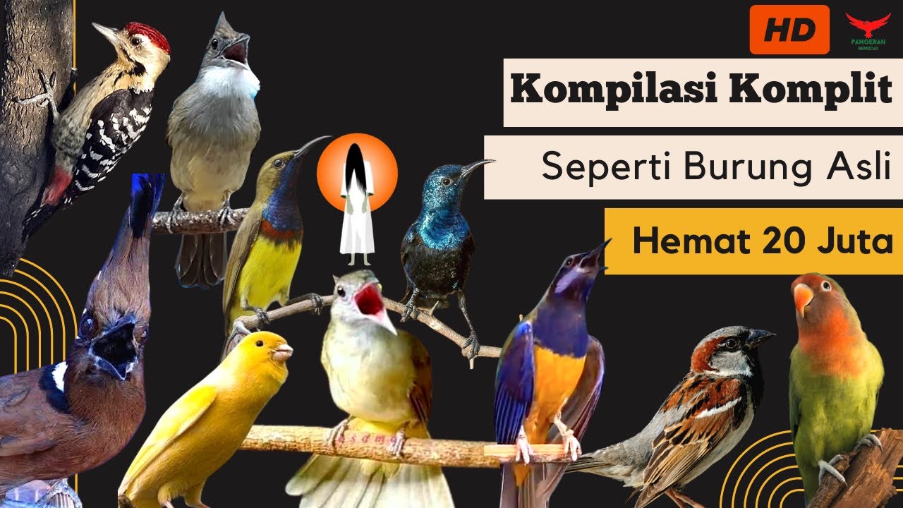 ISTIMEWA‼️ MASTERAN KOMPLIT - KUALITAS HD - DENGAN JEDA❗️