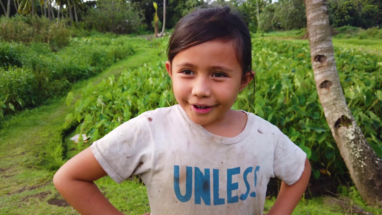 Te ‘Ānau ā Vari   Pa'i Taro with Māori subtitles