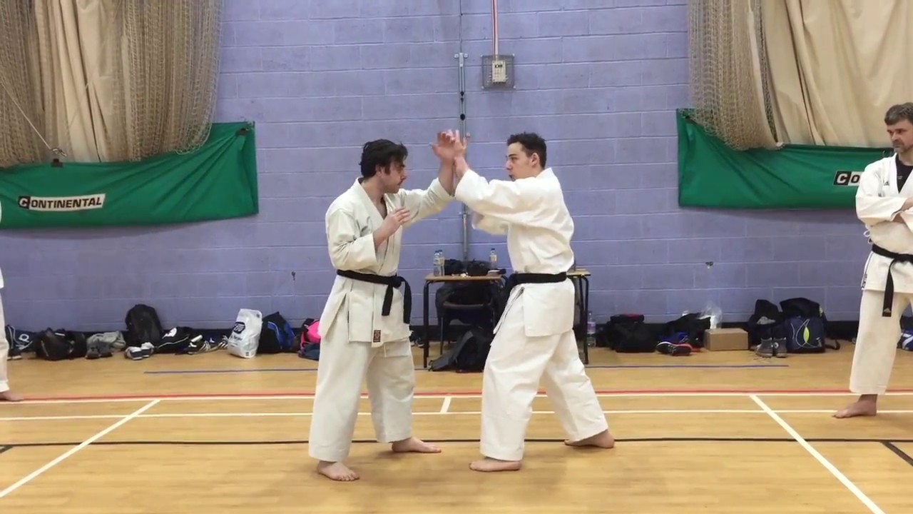 Karate Kata Bunkai: Gedan Barai Bunkai & Embusen
