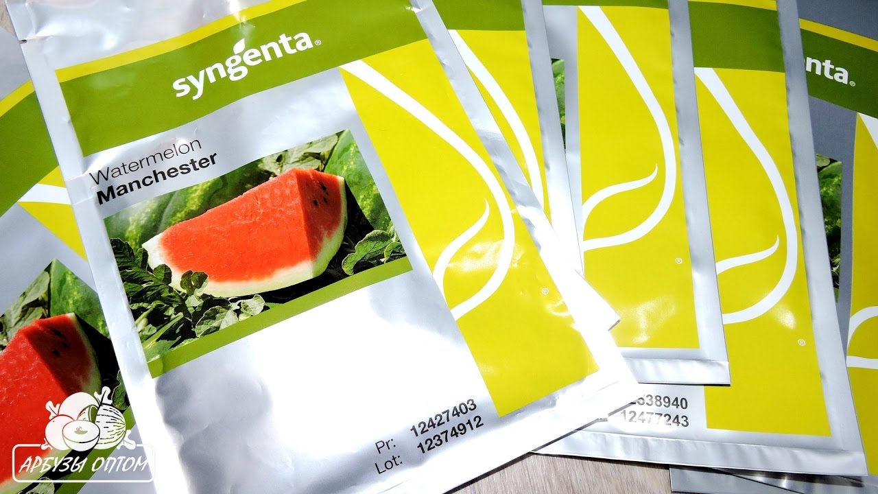 Покупаем семена арбуза Манчестер F1 ☎ +7(912)847-52-01 Viber/WhatsApp