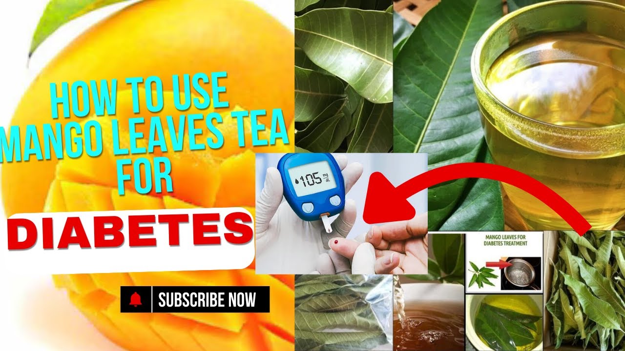 Benefits of Mango Leaves Tea for Diabetes | How To o Make Mango Leaves Tea For Diabetes, Asthma