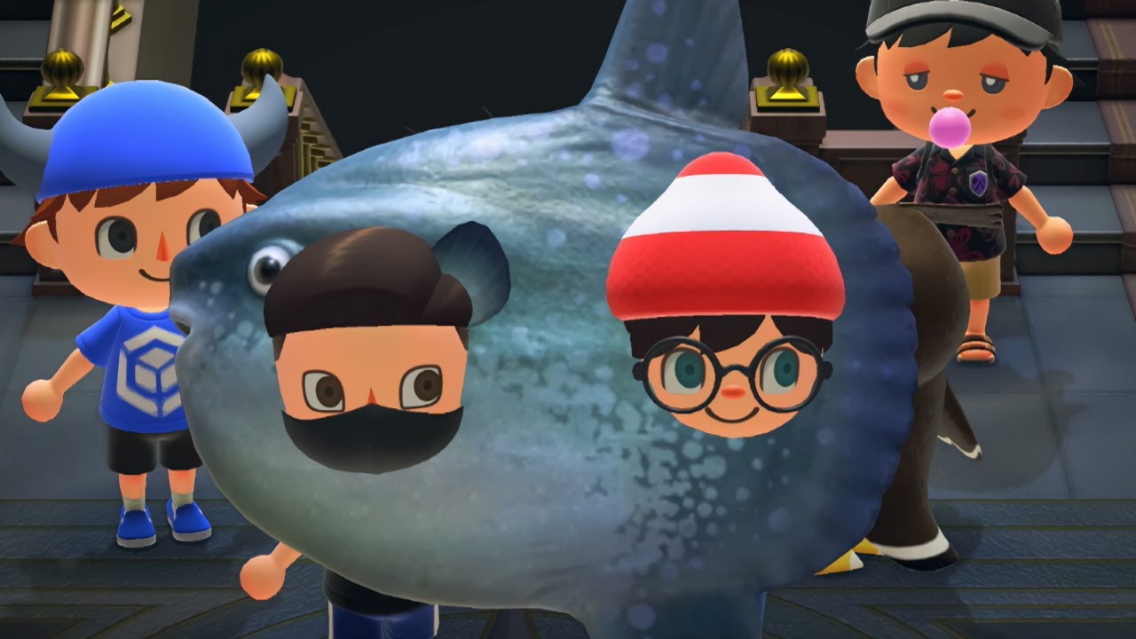 Wi-Fi Moments #10 / Animal Crossing: New Horizons
