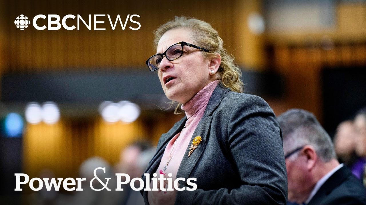Carney’s immigration minister under fire from community groups, opposition | Power & Politics