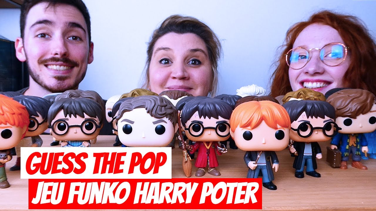 JEU FUNKO HARRY POTTER AVEC MARINE AU TERRIER