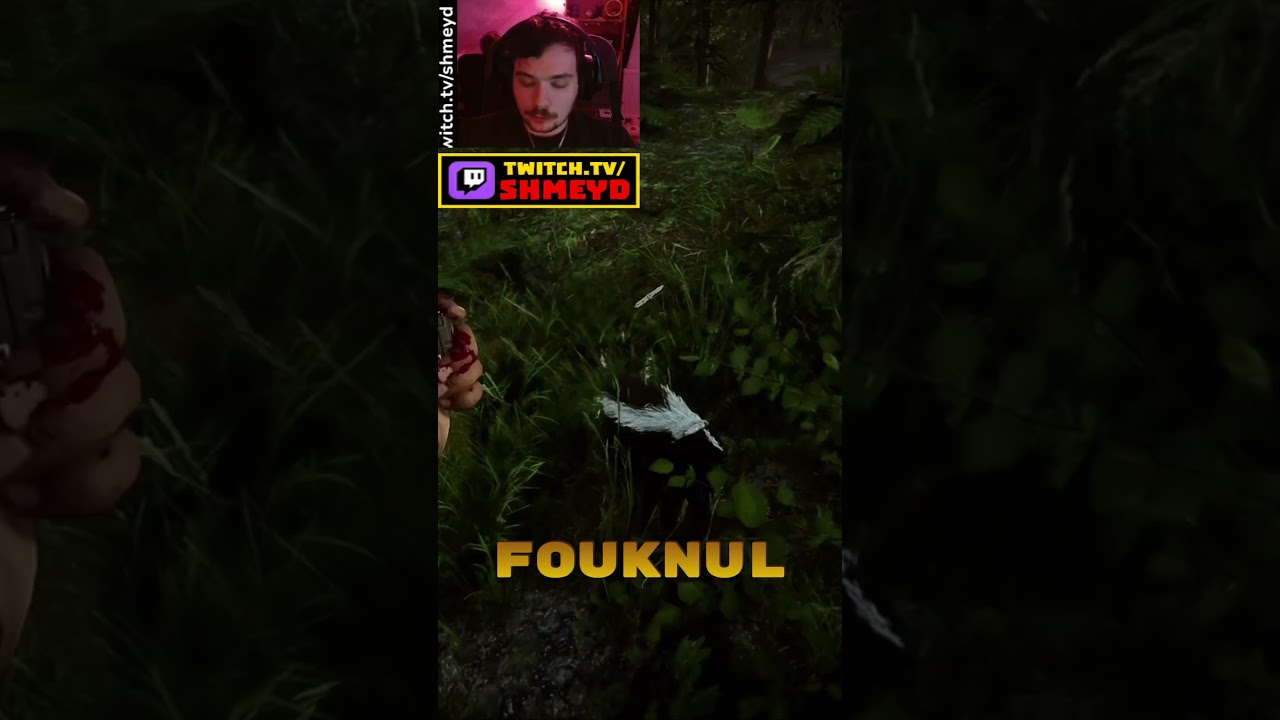 STREAM HGLGHTS 16 