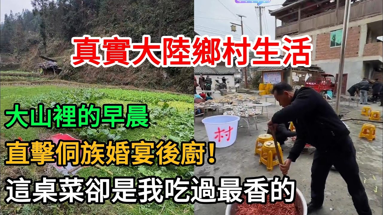 探索美麗山村卻餓肚子？這趟旅行太魔幻了！ 2026-01-24 10:00:45