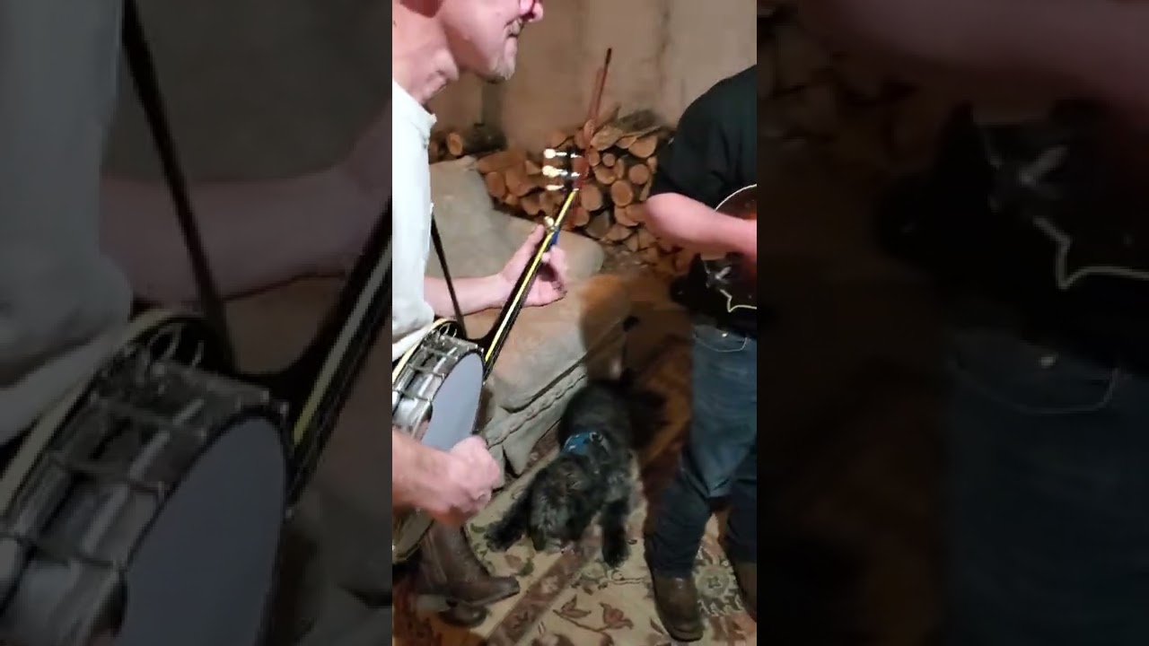 Bluegrass jamming