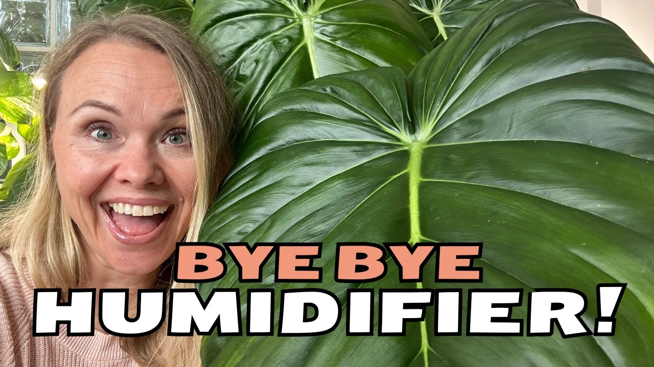 DITCH Your Humidifier! These 7 Plants Thrive Without One