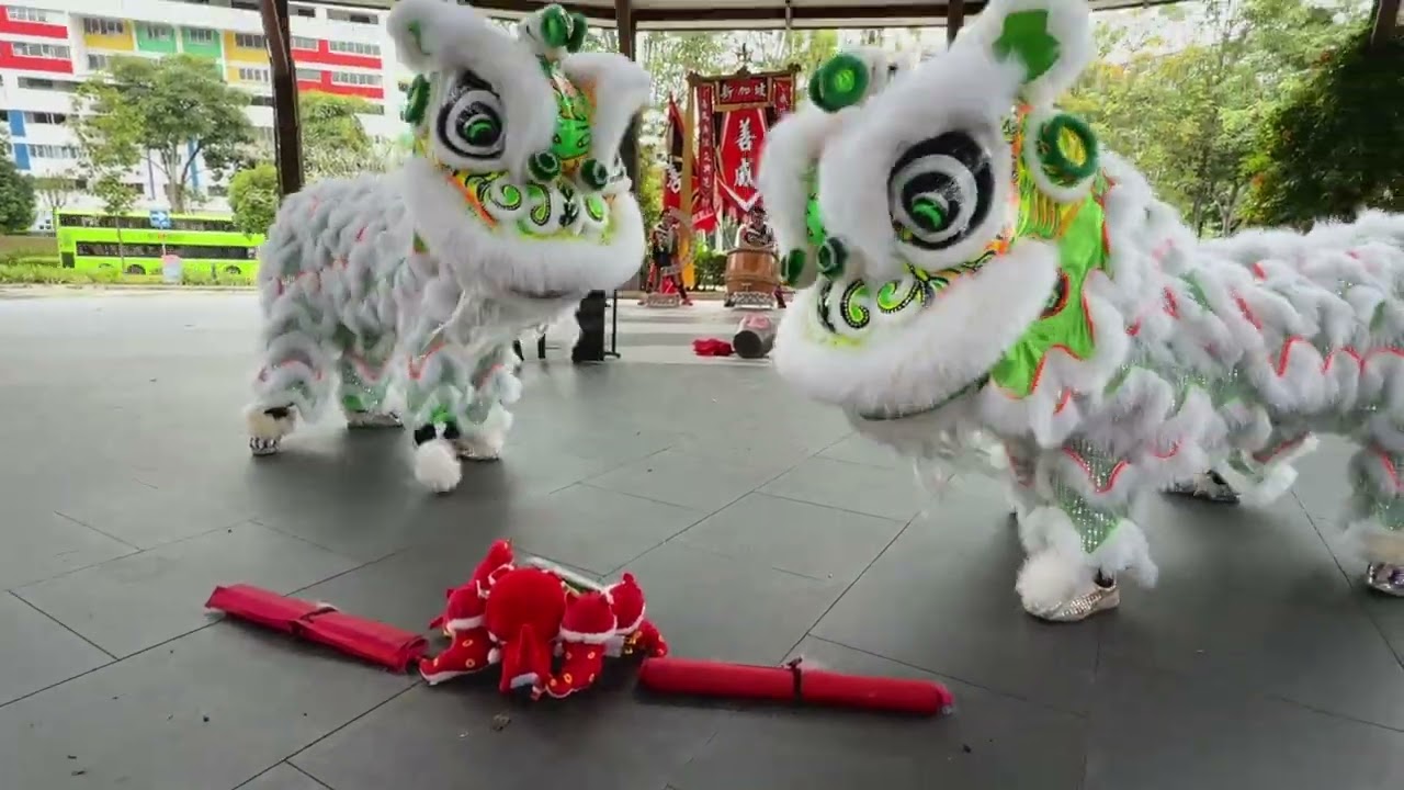 [4K]  Shan Wei 善威 Lion Dance at SAFRA Yishun Pre-CNY Event 18 Jan 2025