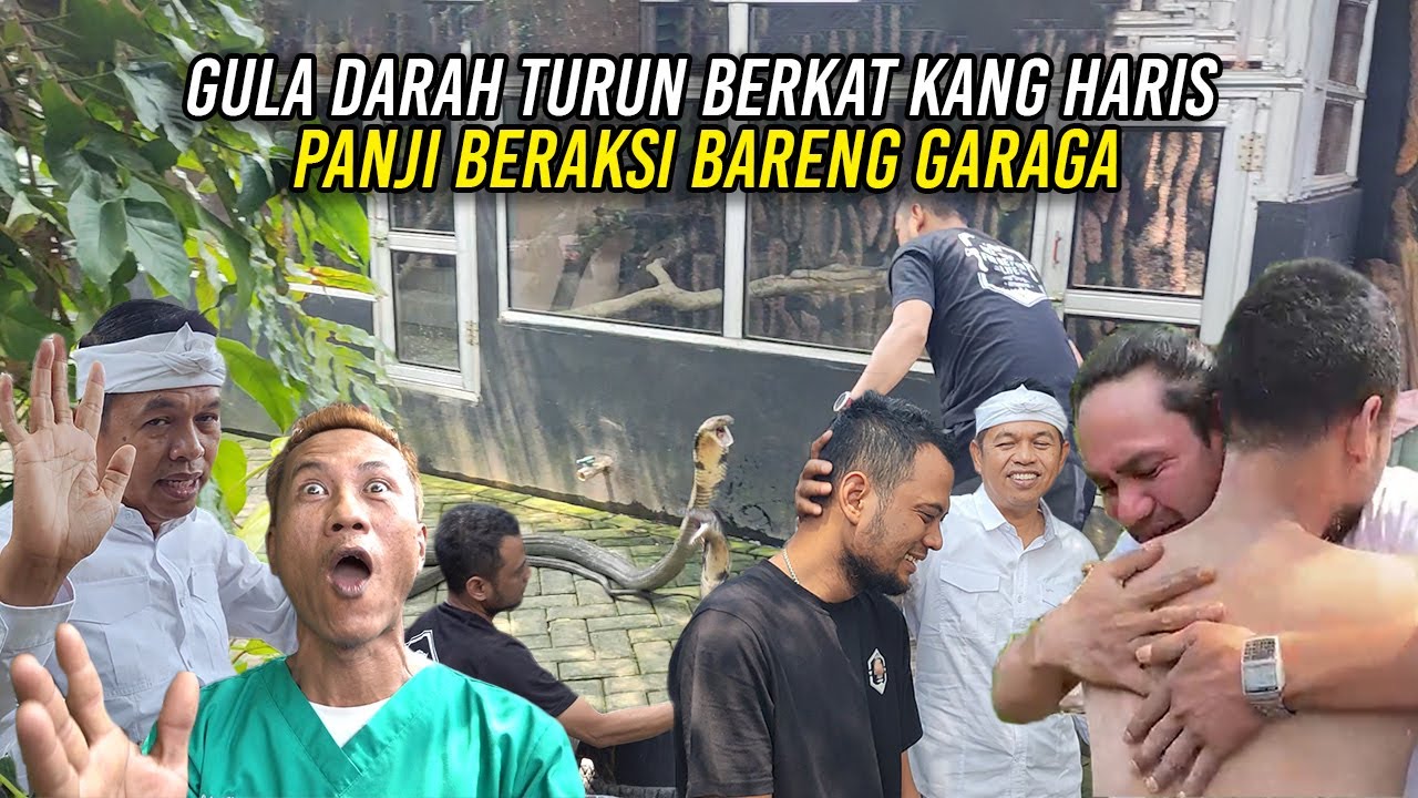 AKSI PANJI BERSAMA GARAGA BERKAT PENG0BATAN KANG HARIS | GULA D4RAH PANJI TURUN