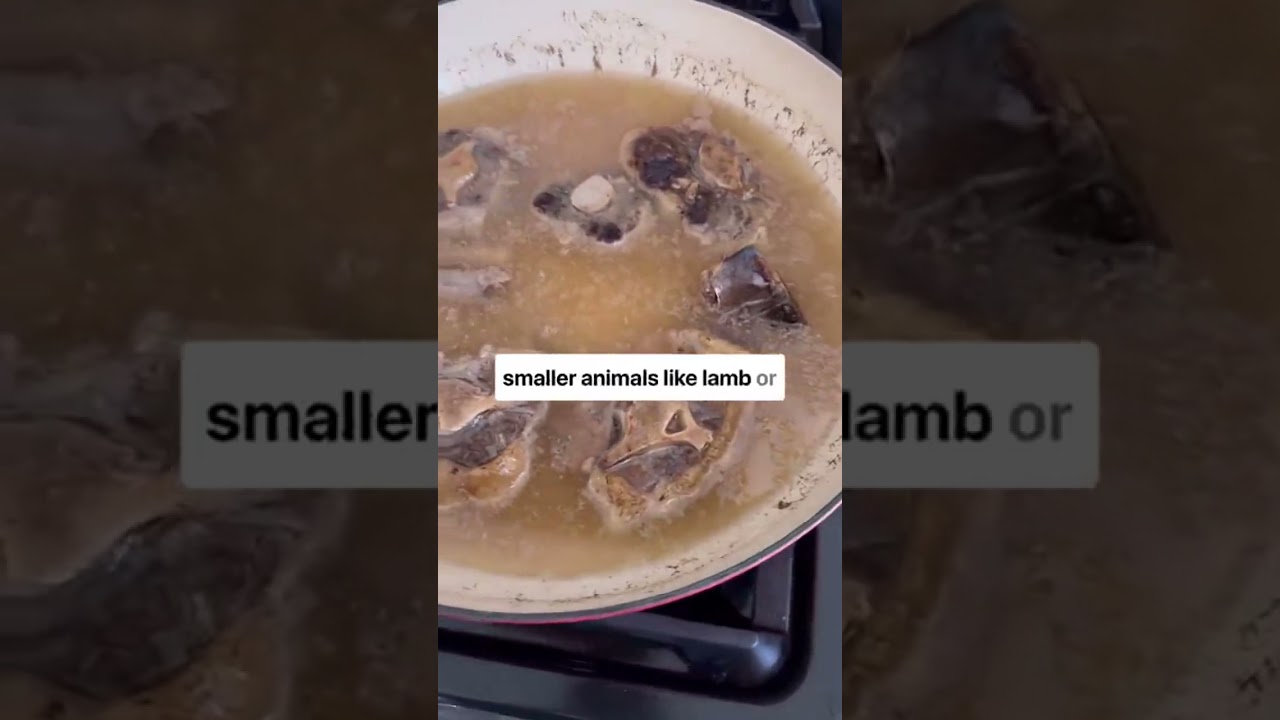 Starting Solids: what worked for us ⬇️ ✨Baby&rsquo;s first non breastmilk food: meat stock (not bone