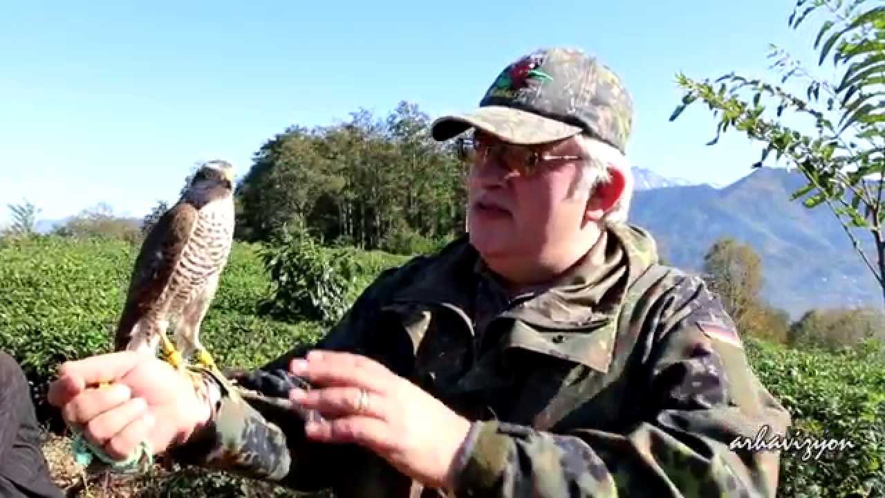 Atmaca halkalama ve salım etkinliği- Arhavi -2014