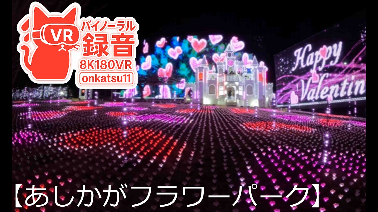 ✨ [Ashikaga Flower Park—Japan Nightscape Heritage “Japan’s Top 3 Illuminations” 2026]🌌Chapter Eight‼