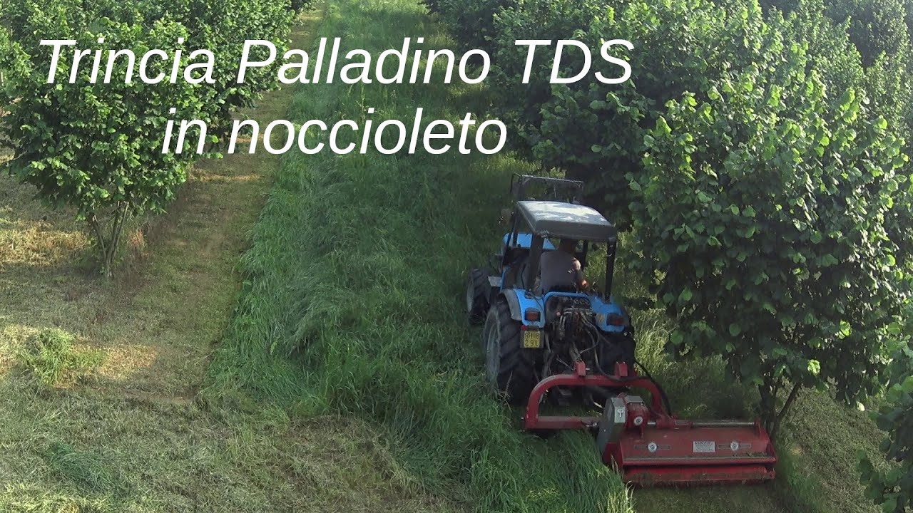 Trincia Palladino TDS in noccioleto