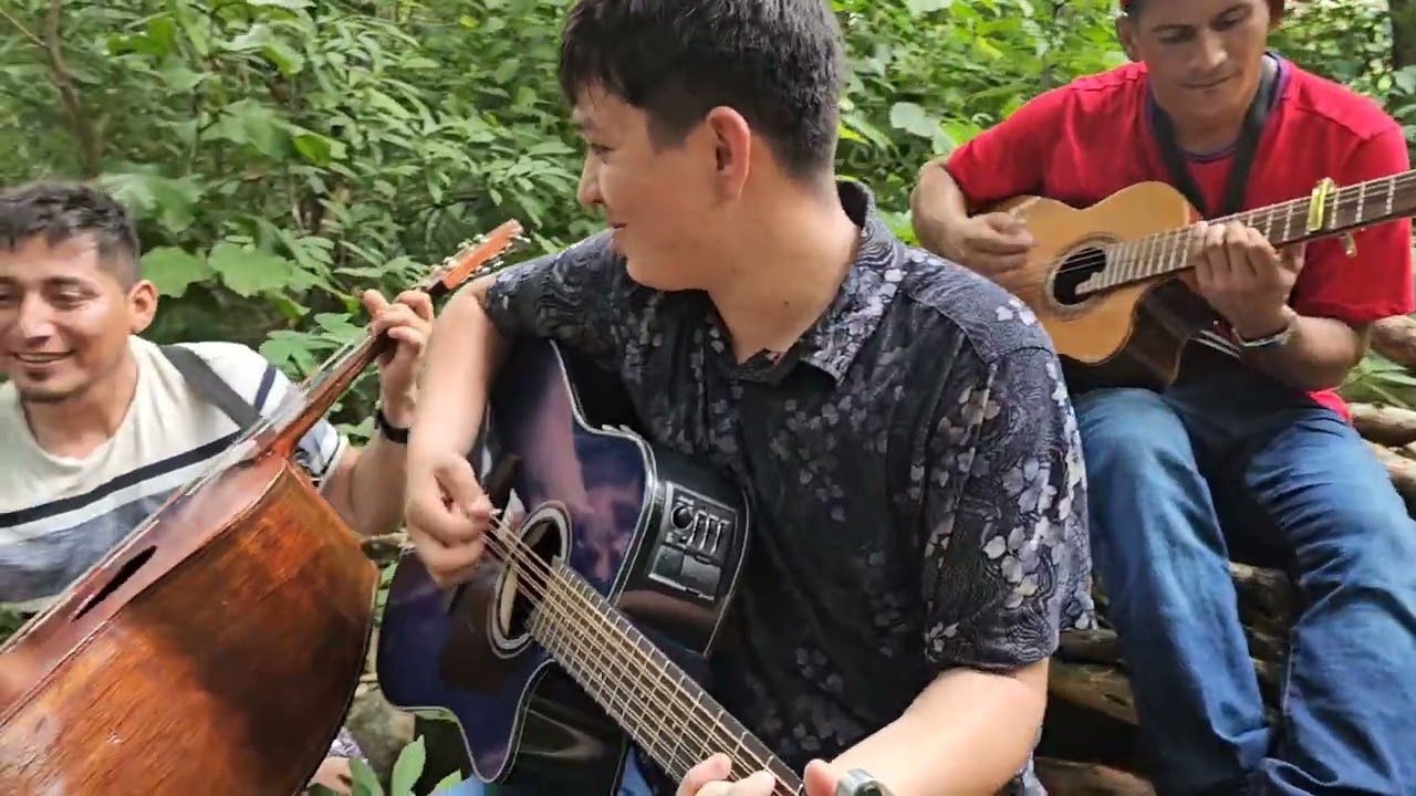 Requinto Fenomenal Interpretando Gaviota Traidora