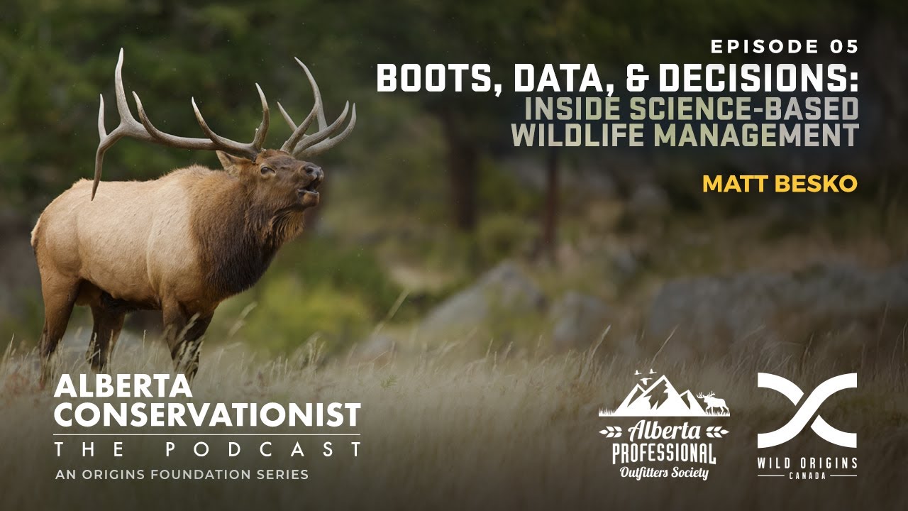 Boots, Data & Decisions: Inside Science-Based Wildlife Management || Ep. 5