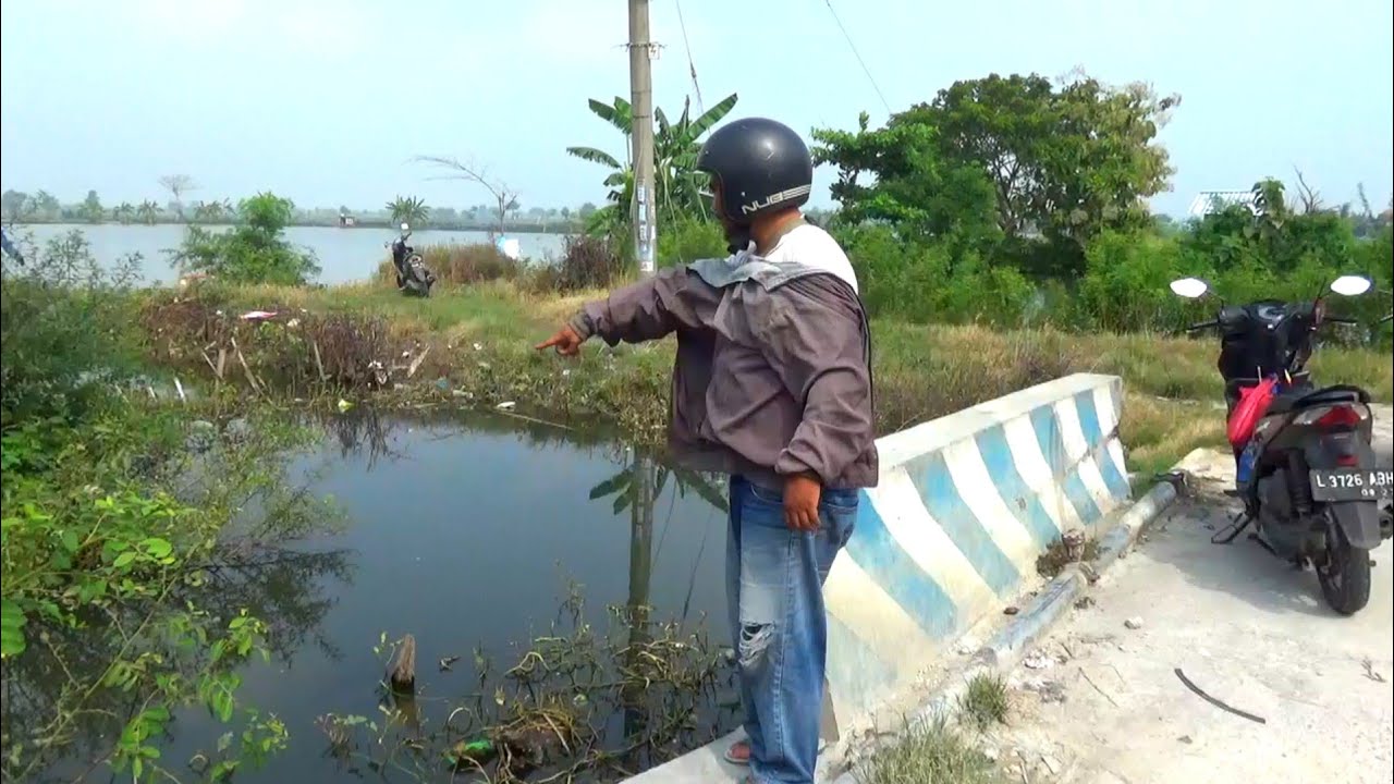 Pemancing mendadak berhenti lihat ikan mas besar ada di selokan