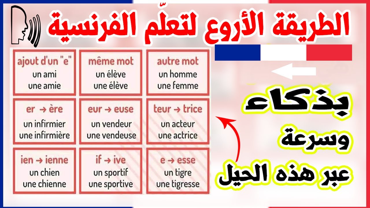 تعلّم الفرنسية بذكاء جدا ولا تحفظ الكثير - 8 قواعد هامّة Learn French