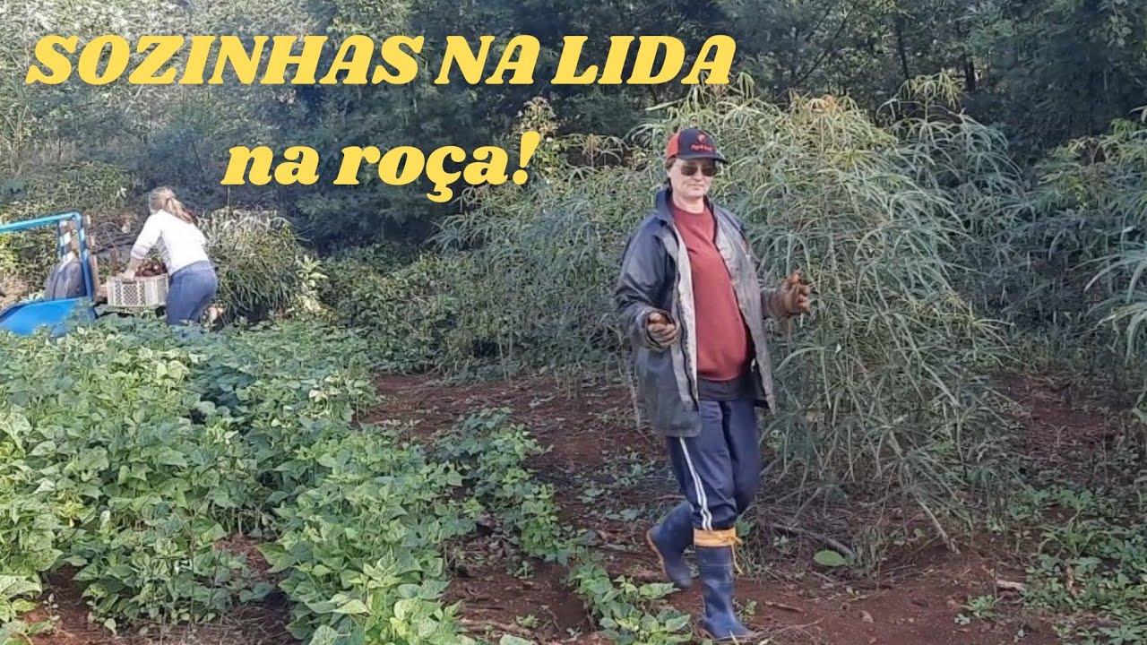 DUAS MULHERES SOZINHAS NA LIDA DA RO&Ccedil;A!