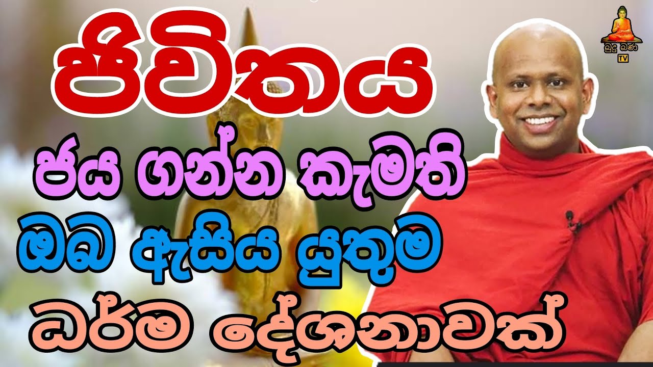 ජිවිතය ජයගන්න  කැමති අයට   walimada saddaseela theru #buddha #trending #banadeshana #bana #banana