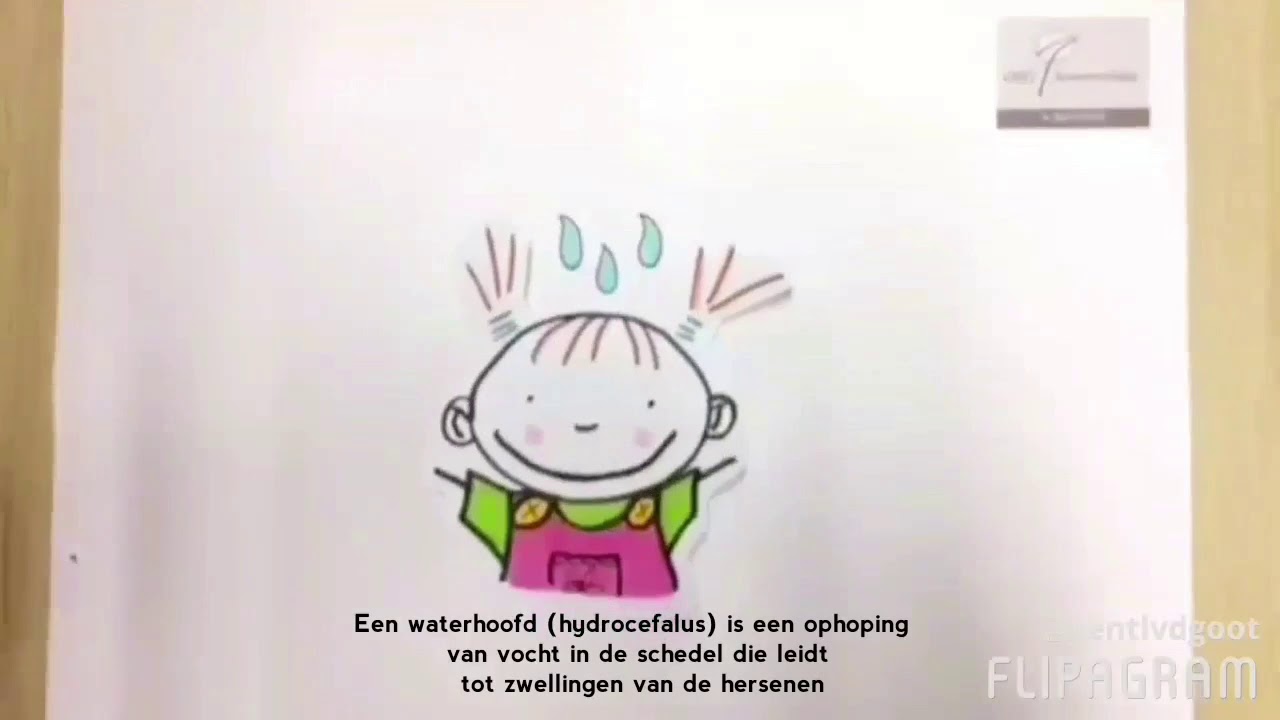 Biologieopdracht OSG Sevenwolden Fedde Schurer