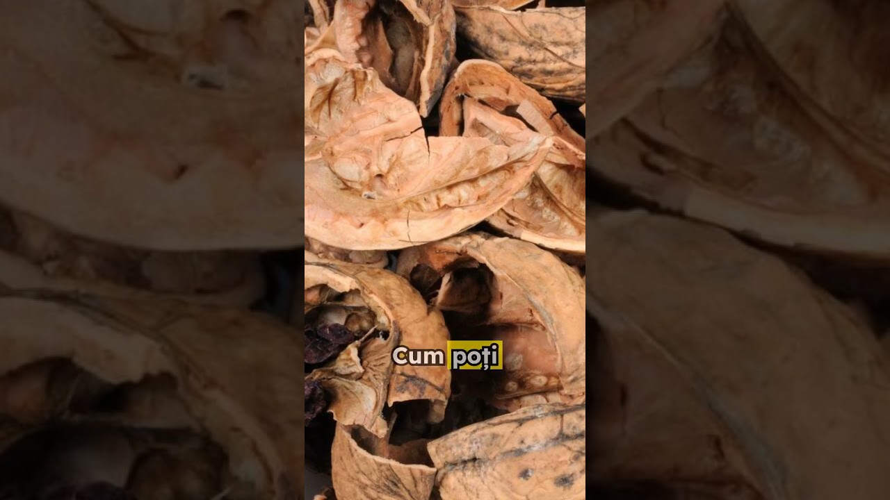 Scapă de TARTRU cu un singur INGREDIENT chiar la tine acasă! #bio #natural #remedii  #popular