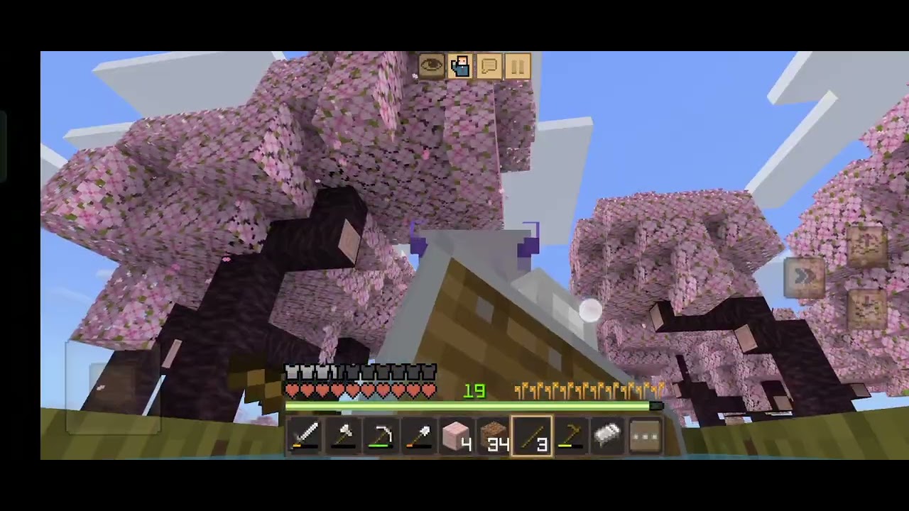 Minecraft survival series part 6 I build food farm 🎀