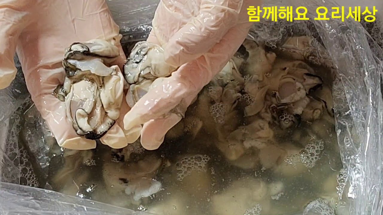 #생굴보관법저장법손질법 굴 양식 지인이 알려주는 비릿내 잡는 손질법(꿀팁)#굴씻는법 보관법 총정리