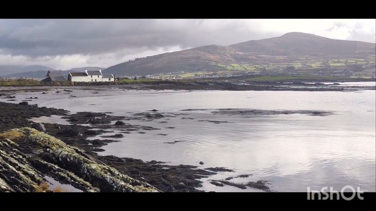 Ballycarbury welcoming early spring January 24th 2026 