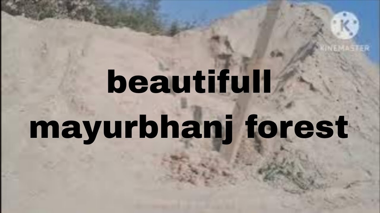 Mayur bhanj forest is very beutifull