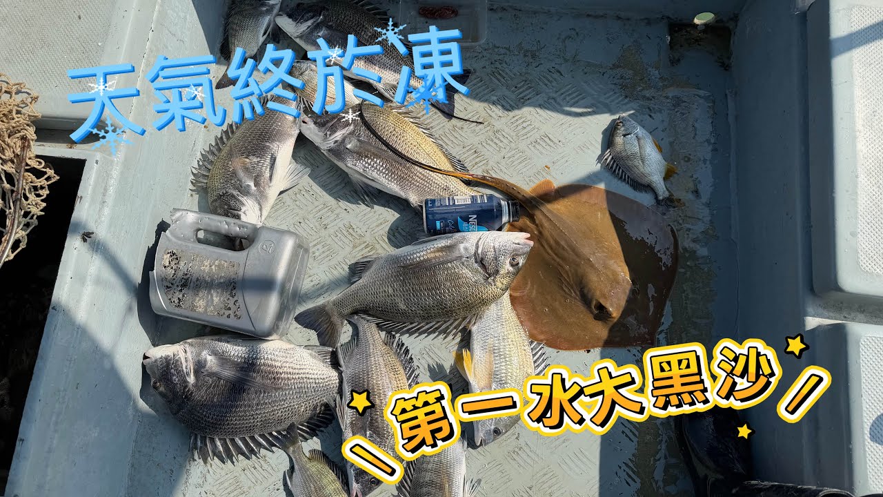 [流記釣魚#23]2026年第一釣 大黑沙開口 20幾斤鷹蒲冇能力起 打響流浮山第一炮  #香港釣魚 #艇釣 #釣魚 #流浮山 #大黑沙