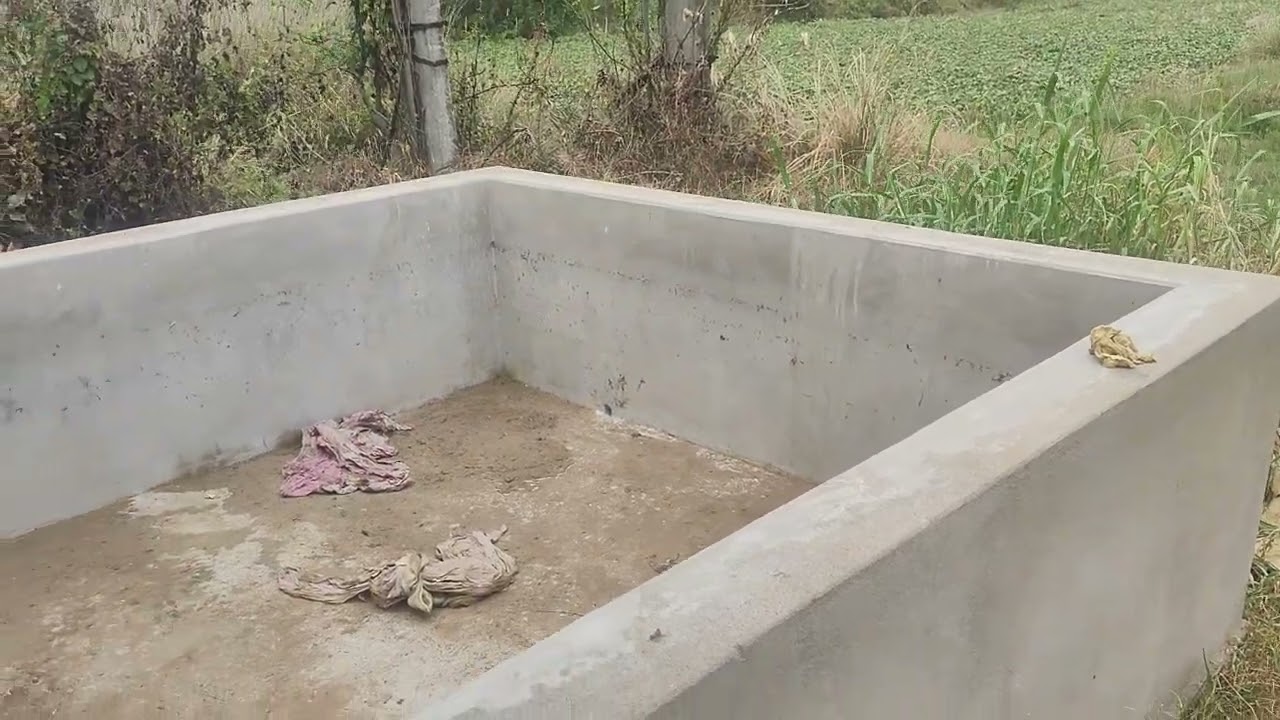 poultry farm daily update video 3